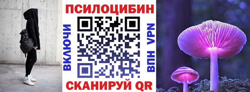 дарнет шоп  Полевской  Галлюциногенные грибы Psilocybine cubensis 